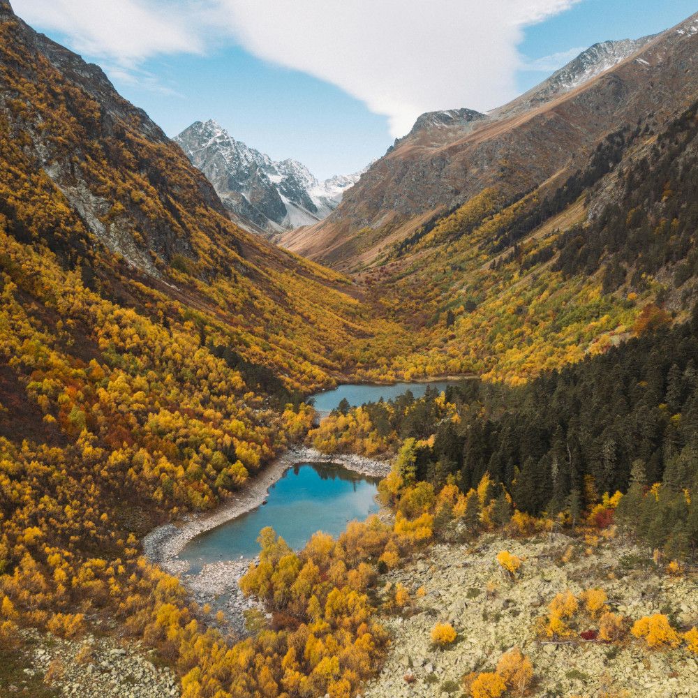 a valley landscape